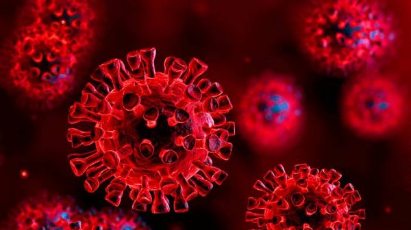 বিশ্বে করোনা আক্রান্ত ১৪ কোটি ৬২ লাখ ছাড়িয়েছে