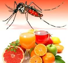 জ্বর হলে করোনার সঙ্গে ডেঙ্গু পরীক্ষার পরামর্শ