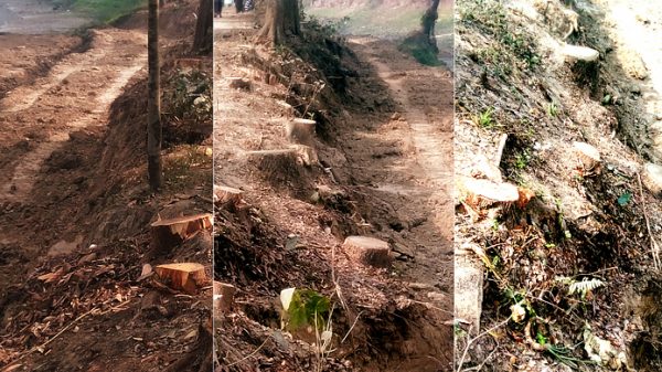 লাখ লাখ টাকা হাতিয়ে নেয়ার অভিযোগ