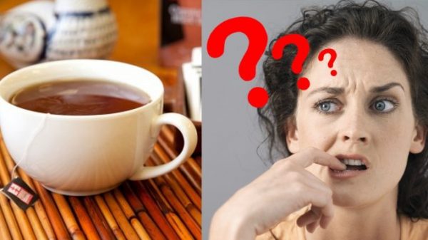 চা প্রেমীরা রাশ টানুন চা পানে