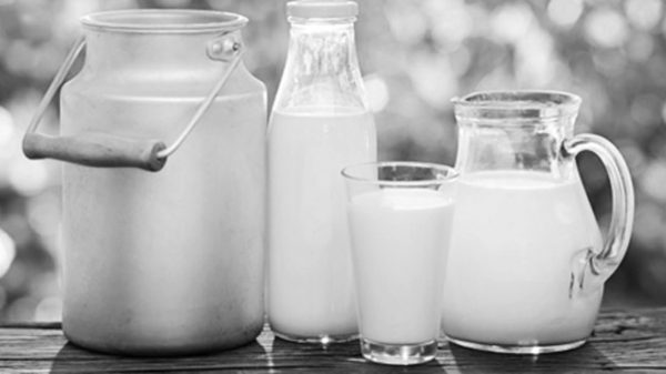 দুধ খেতে না পারলে
