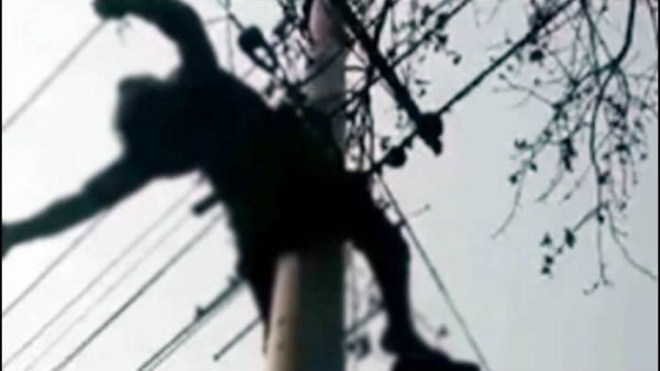 বিদ্যুতের তারে ৩ ঘণ্টা ঝুলেছিল লাশ
