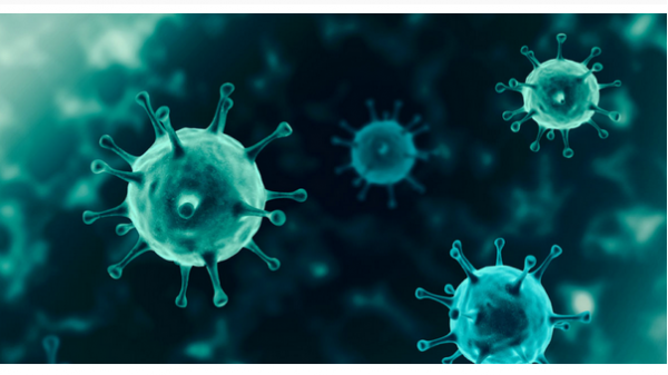 কী কারণে এত মৃত্যু