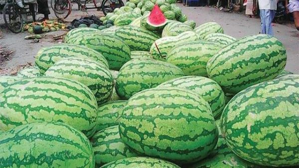 তরমুজে যেমন ভেলকিবাজি
