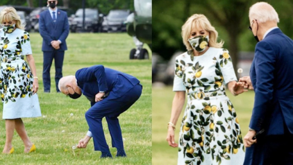 ঘাসফুলের রোমান্টিকতায় স্ত্রীকে চমকে দিলেন বাইডেন!