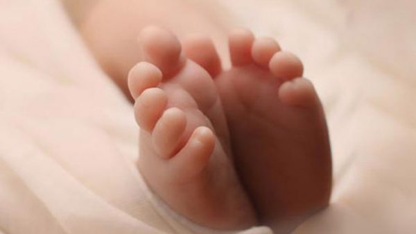 ঢামেকের গেটে কুকুর টেনে নিয়ে এলো নবজাতকের মরদেহ