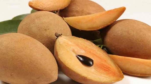 ফুসফুস ও কিডনি ভালো রাখতে সফেদা খান