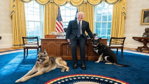 ৪ গুণ বেশি শরণার্থী নেওয়ার ঘোষণা দিলেন বাইডেন