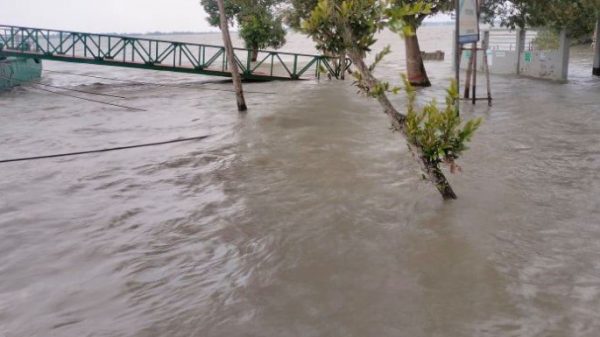 ঘুর্ণিঝড়ে পূর্ব সুন্দরবনের ক্ষতি ৬০ লাখ টাকা