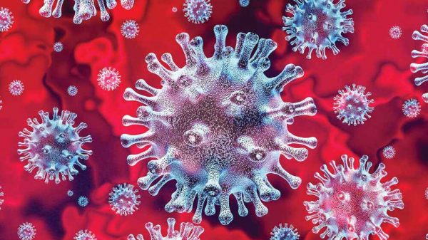 ব্ল্যাক ফাঙ্গাস কি? ঝুঁকিতে কারা? সুরক্ষার উপায়?