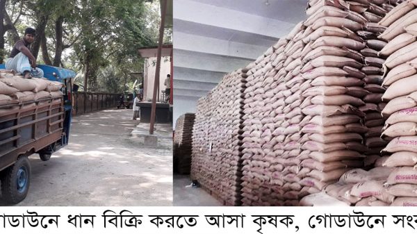 আগৈলঝাড়ায় সরকারীভাবে ধান ক্রয়ের লক্ষ্যমাত্রা নিয়ে শংঙ্কা