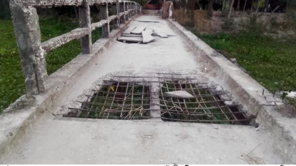 আগৈলঝাড়ায় ব্রীজের রড বের হয়ে মরন ফাঁদে পরিনত