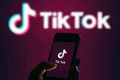 টিকটকে কত ফলোয়ারে কেমন আয়