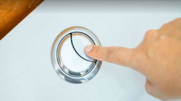 টয়লেটের ফ্ল্যাশে কেন দুটি বোতাম থাকে