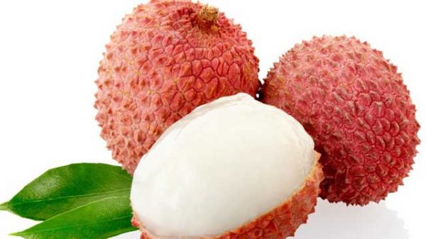 ঘরেই তৈরি করুন লিচুর জেলি