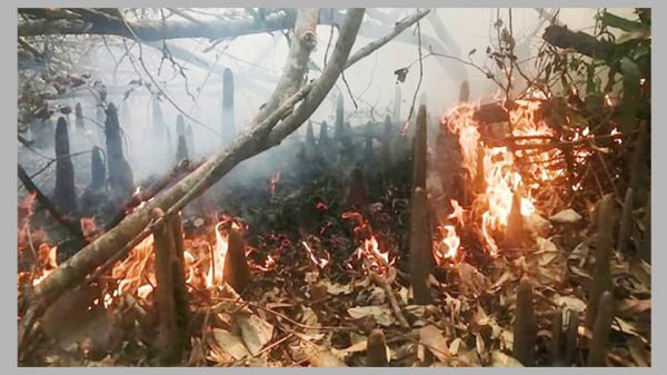 ৪ দিন পর সুন্দরবনের আগুন সম্পূর্ণ নিয়ন্ত্রণে