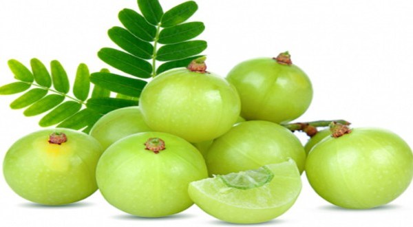 আমলকীর যত গুণ