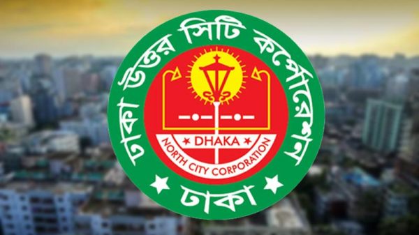 ডিএনসিসি