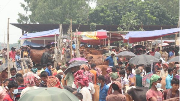 পাবনায় পশুর হাটে উপচেপড়া ভিড়, উপেক্ষিত স্বাস্থ্যবিধি