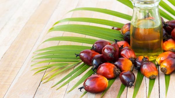 পাম অয়েল আমদানি বাড়িয়েছে রাশিয়া