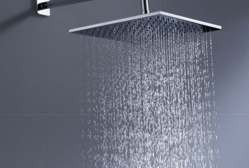 বাথরুমের ঝরনার ছিদ্র বন্ধ? পরিষ্কারের উপায় জানুন