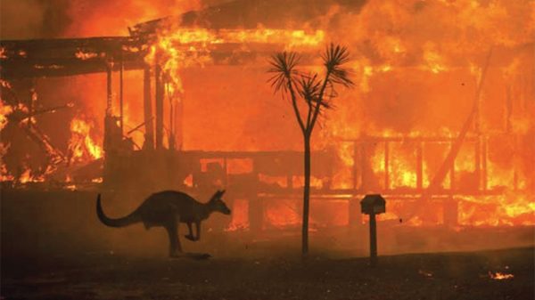 ​দাবানল