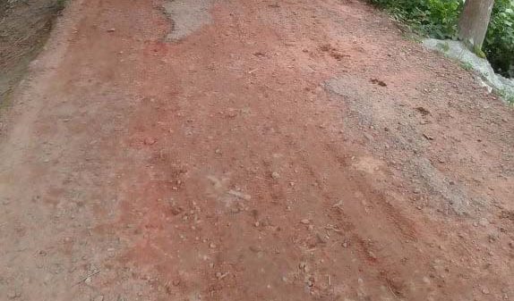 উজিরপুরে বিভিন্ন রাস্তার বেহাল দশা চরম ভোগান্তিতে মানুষ