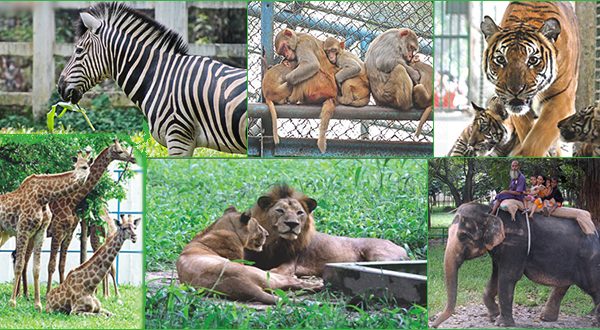 জাতীয় চিড়িয়াখানাকে আধুনিক ও বিশ্বমানে রূপান্তর করা হবে