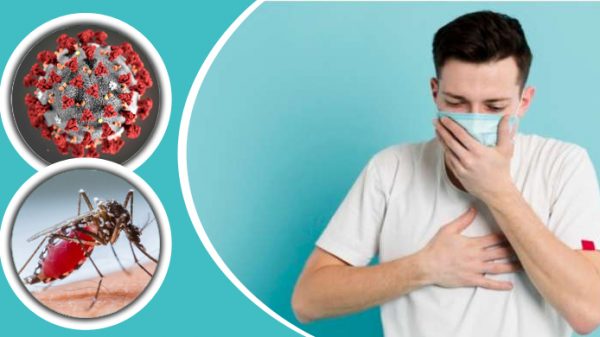 ডেঙ্গু জ্বর ও করোনার লক্ষণ এক হলেও পার্থক্য যেখানে