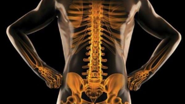 হাড় শক্তিশালী করতে কী ধরনের খাবার খাবেন